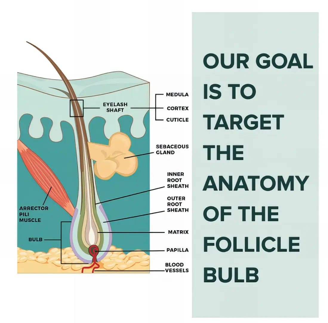 WE LOVE EYES LASHFULL THINKING™ LASH + BROW FOLLICLE OIL